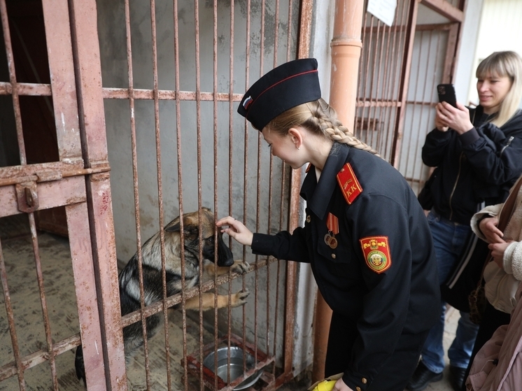 В липецком УМВД подвели итоги конкурса по выбору имени для служебной собаки