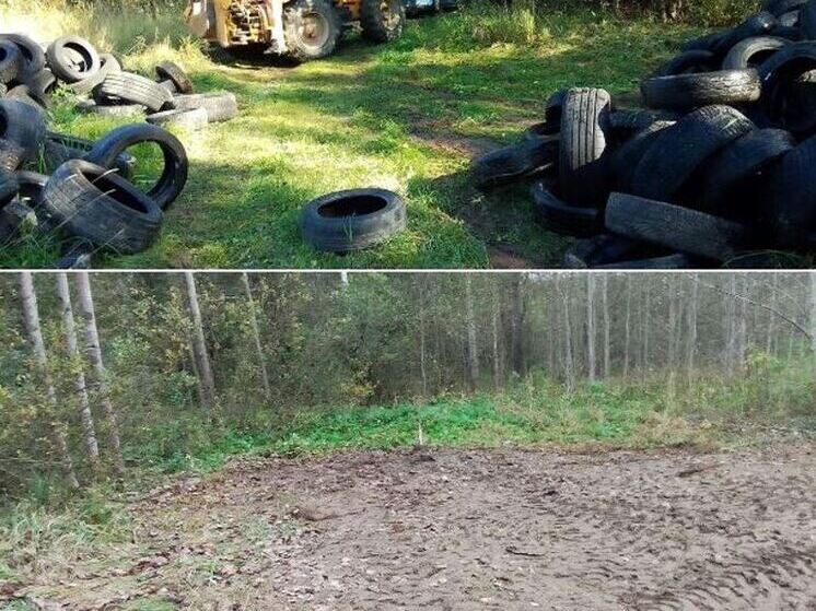 Более сотни шин вывезли с несанкционированной свалки в Тосненском районе