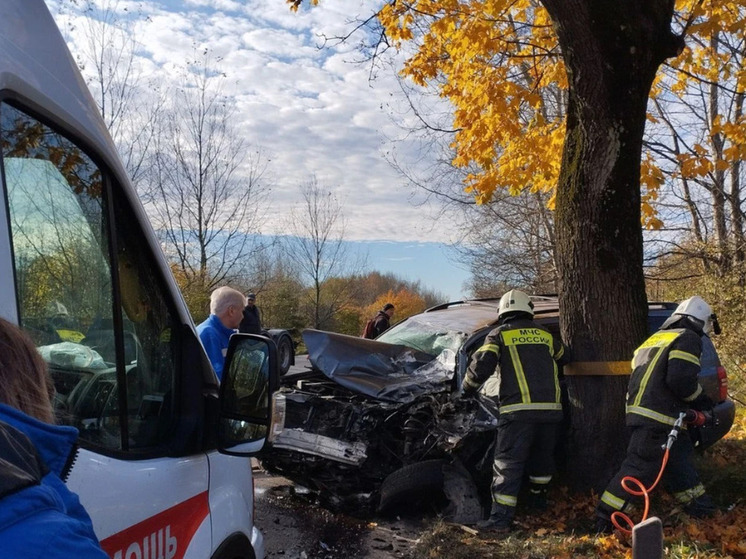Калининградские спасатели вырезали пострадавшего в ДТП из искорёженной машины