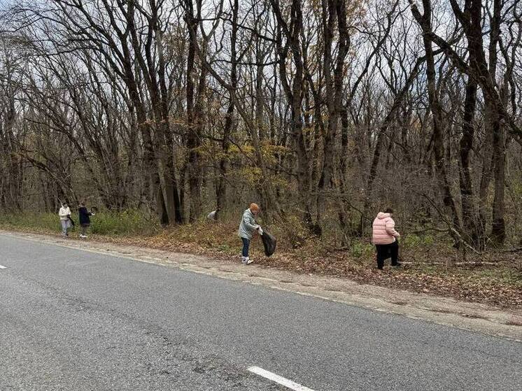 На Ставрополье из Русского леса вывезли 5 кубометров мусора