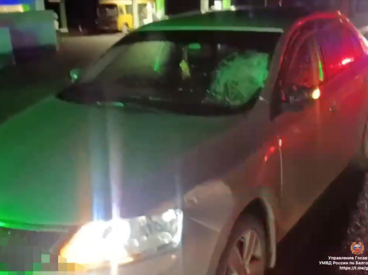 В Ракитянском районе иномарка сбила вышедшего на дорогу подростка