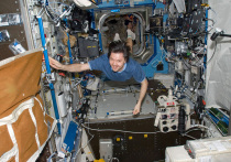 Космонавт Олег Кононенко будет назначен временно исполняющим обязанности начальника Центра подготовки космонавтов им