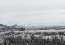 Как отметила председатель регионального отделения Движения Первых НАО Ольга Шапова, сегодня для детей состоялась экскурсионная программа в Центре арктического туризма, где они познакомились с традициями и обычаями коренного малочисленного народа Севера, увидели оленя и чум, приняли участие в мастер-классе по изготовлению ненецкой игрушки