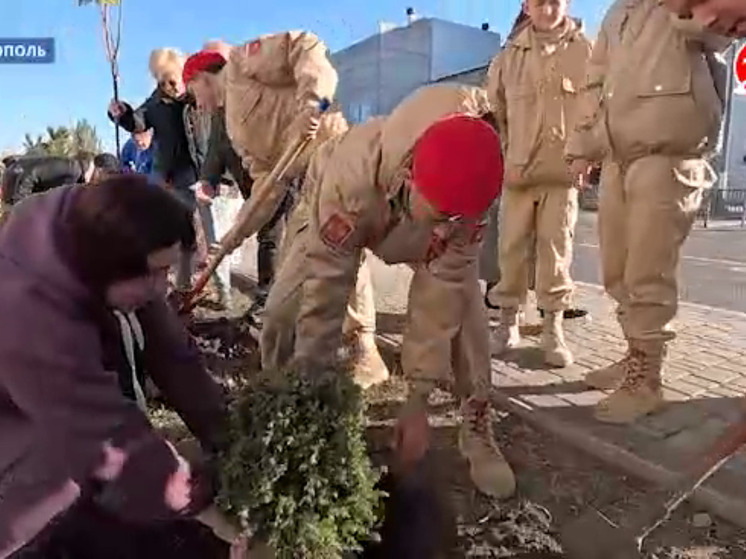 Мелитополь украсили новые аллеи: депутаты и юнармейцы высадили деревья ко Дню народного единства
