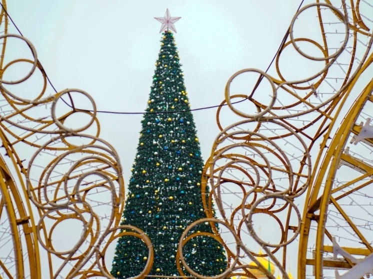 Миляев подписал указ о новогодней поддержке для детей участников СВО