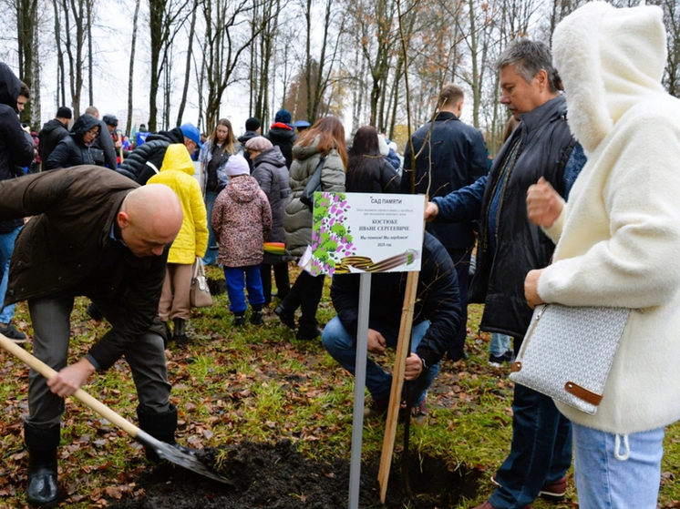 В Орле высадили 89 лип в честь героев СВО