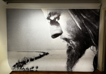 Арт-акция «Ночь искусств» накануне Дня народного единства пройдет на более чем сотне столичных площадок