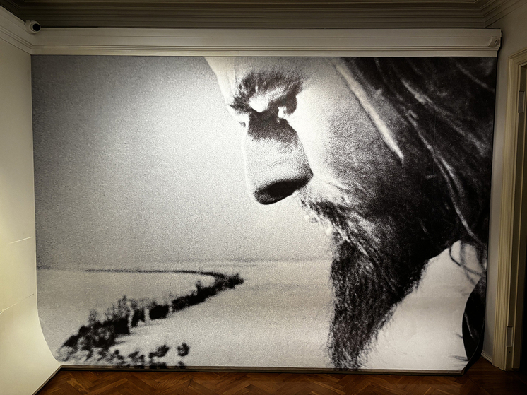 Арт-акция «Ночь искусств» накануне Дня народного единства, пройдет на более чем сотне столичных площадок