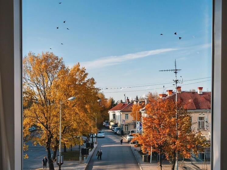 В Липецке и области ожидается до +10 без осадков