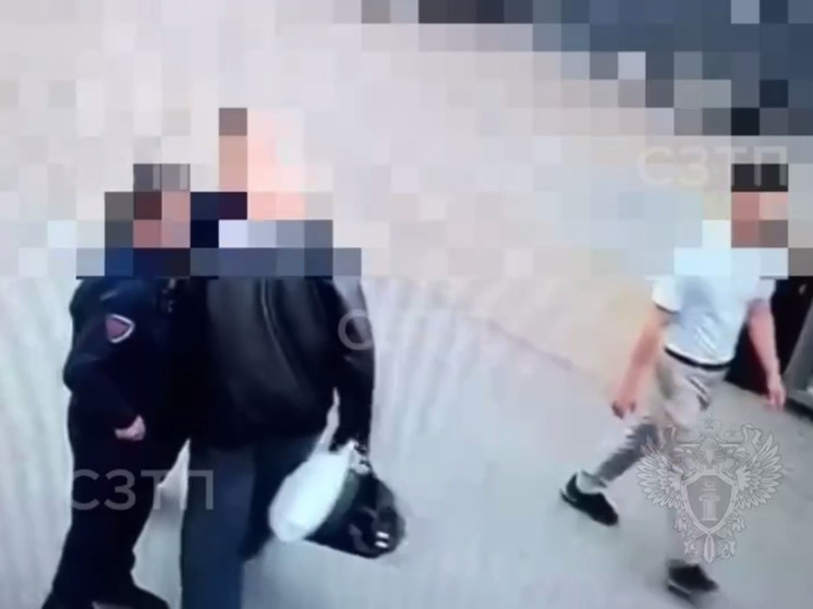 Москвич напал на инспектора во время досмотра на вокзале в Петербурге