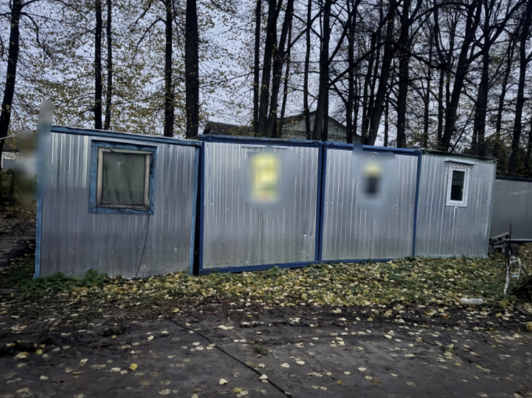 В Орле на стройке задержали 22 нелегальных мигранта