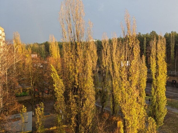 Необычная погода ожидает воронежцев в ноябре