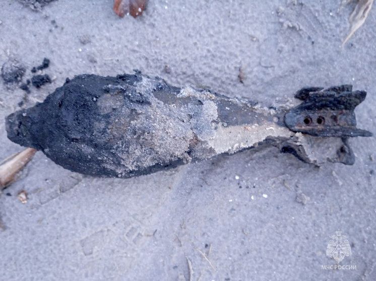 В Масловой Пристани на берегу водохранилища нашли снаряд прошлого века