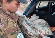 Мария Городова и ее единомышленники три года помогают военнослужащим
