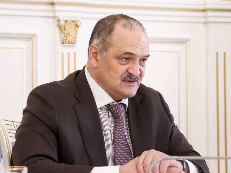  Меликов прокомментировал массовое отравления детей в Казбековском районе