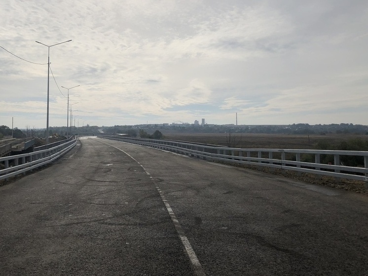 В Туле продлили ограничения движения трамваев по Пролетарскому мосту