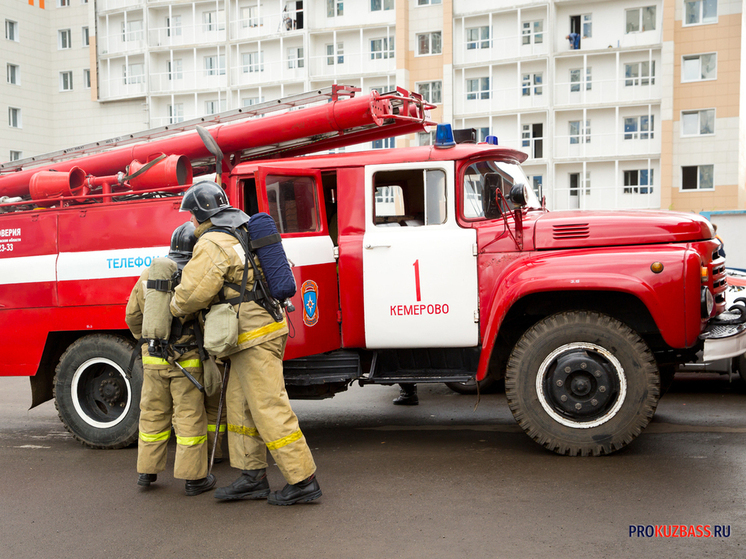Массовые пожары травы в Кузбассе тушили спасатели шести муниципалитетов