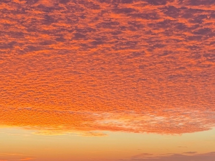 В небе над Ростовской областью за три часа уничтожили четыре беспилотника