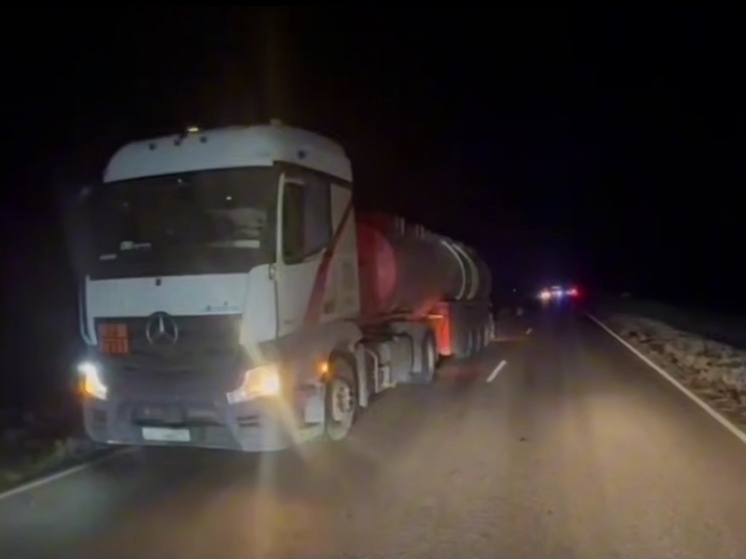 Перебегавшего в неустановленном месте дорогу пешехода дважды сбили в Ростовской области