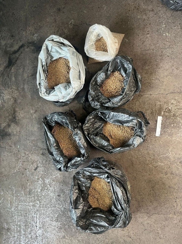 46-летний житель Кызыла на рабочем месте  незаконно  хранил  2,7 кг. марихуаны