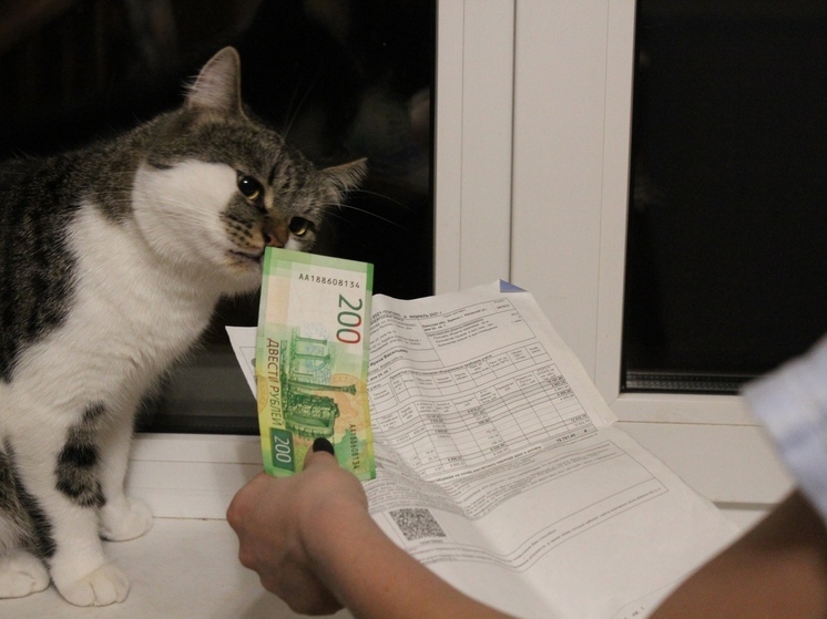 В Воронежской области могут сократить льготный лимит на электроэнергию