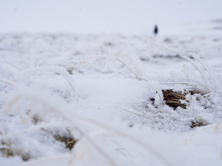 Метель и штормовой ветер прогнозируются в воскресенье на востоке Чукотки