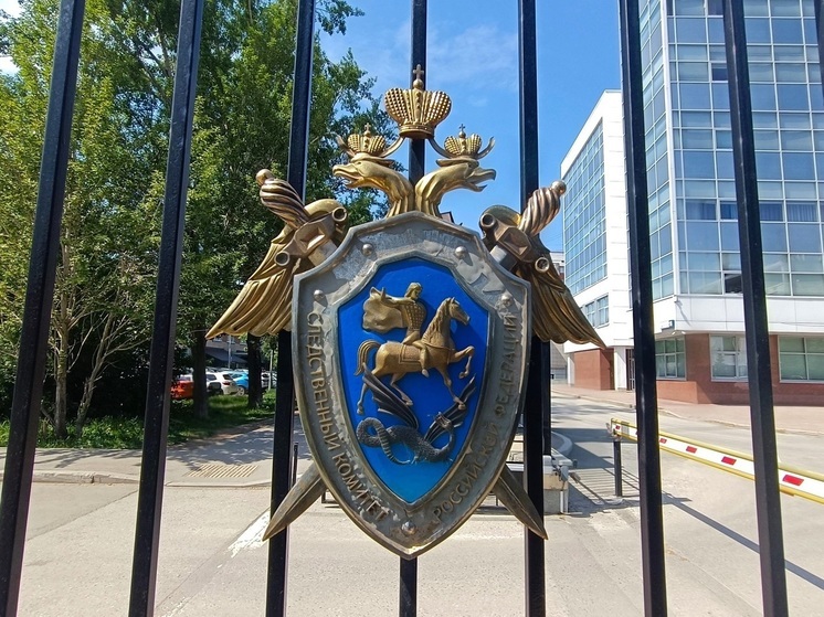 Бастрыкин затребовал доклад о нападении свердловчанок на пенсионера