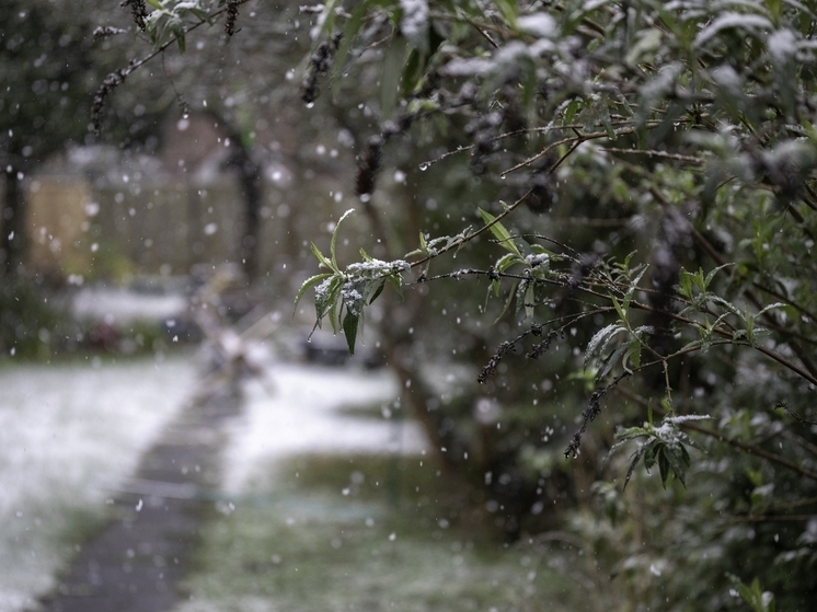 Резкое похолодание и усиление ветра до 25 м/с: погода в Томске на 2 ноября