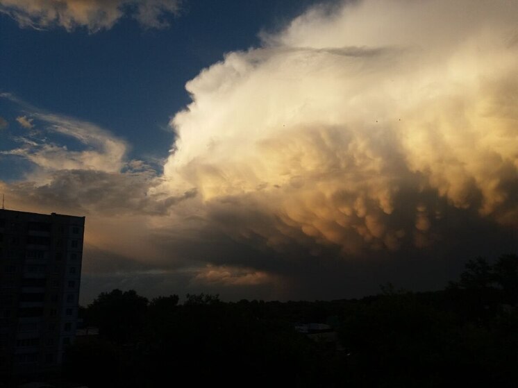 Есть пострадавшая: в Барнауле во время шторма 1 ноября произошло 14 ЧП