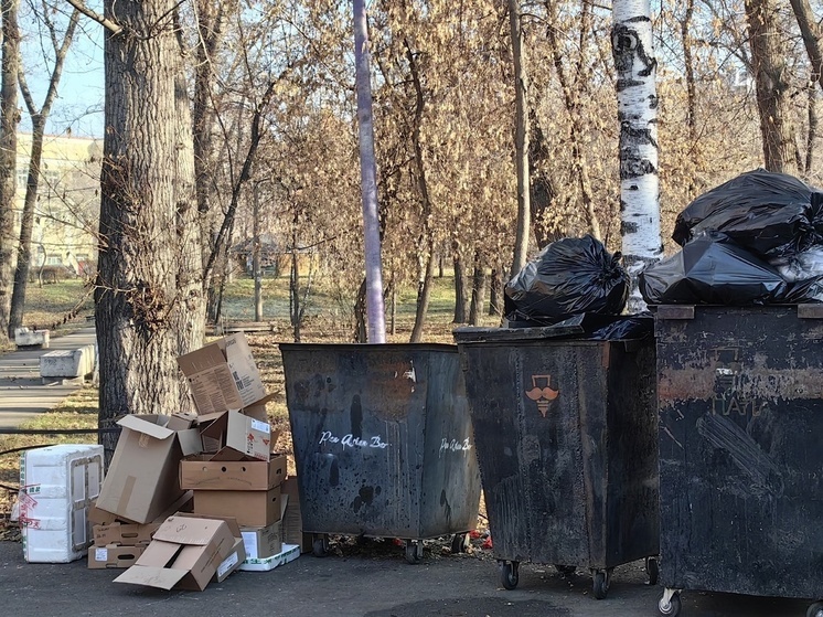 Центр столицы Хакасии начал зарастать зловонным мусором