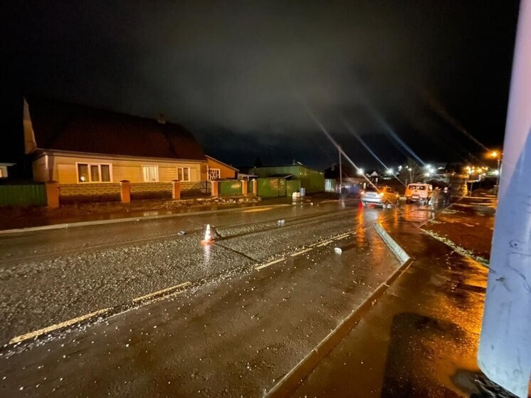 В Тогучине Новосибирской области водитель «Лексуса» насмерть сбил 65-летнего мужчину