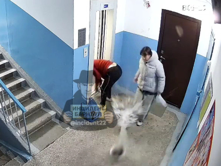 «Царевна на лифте ехать желает». В Барнауле женщина грубо обошлась с уборщицей и пнула ведро