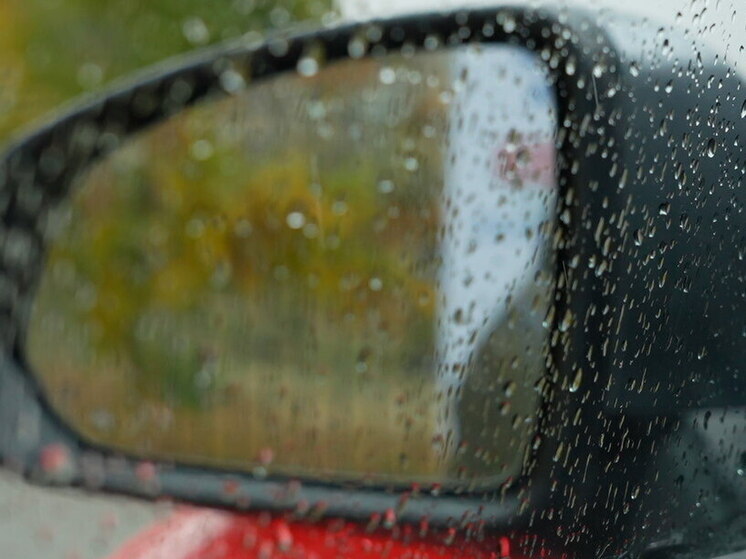 В Волгоградской области 2 ноября пройдут дожди