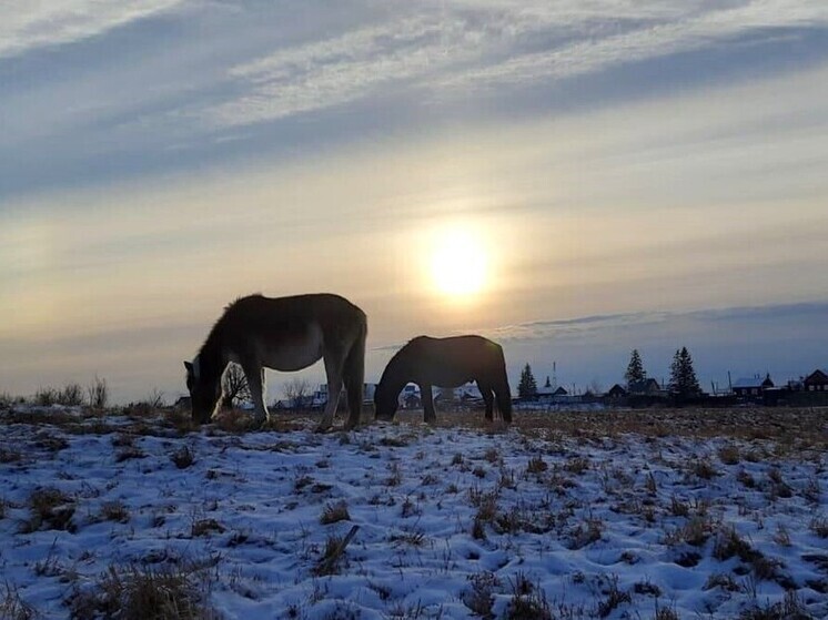 Метеорологи прогнозируют морозы в Якутии на 6-8 градусов ниже нормы