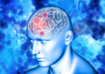 Скоро мысли человека можно будет читать благодаря ИТ-технологиям, которые с помощью интерфейса «мозг — компьютер» будет разрабатывать новый стартап Merge Labs Сэма Альтмана, генерального директора OpenAI