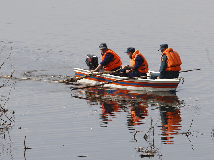 Труп женщины обнаружен в Москве-реке в центре города