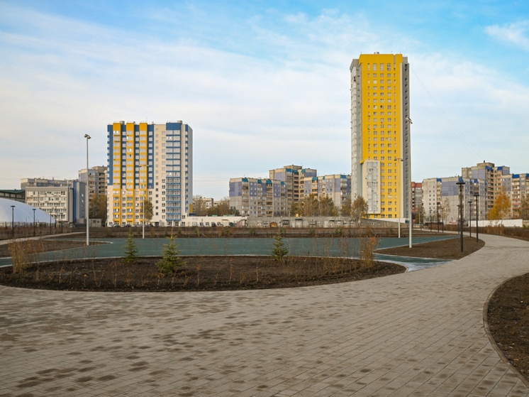 Благоустройство парка за ТЦ «Европа» в Барнауле на зиму встанет на паузу