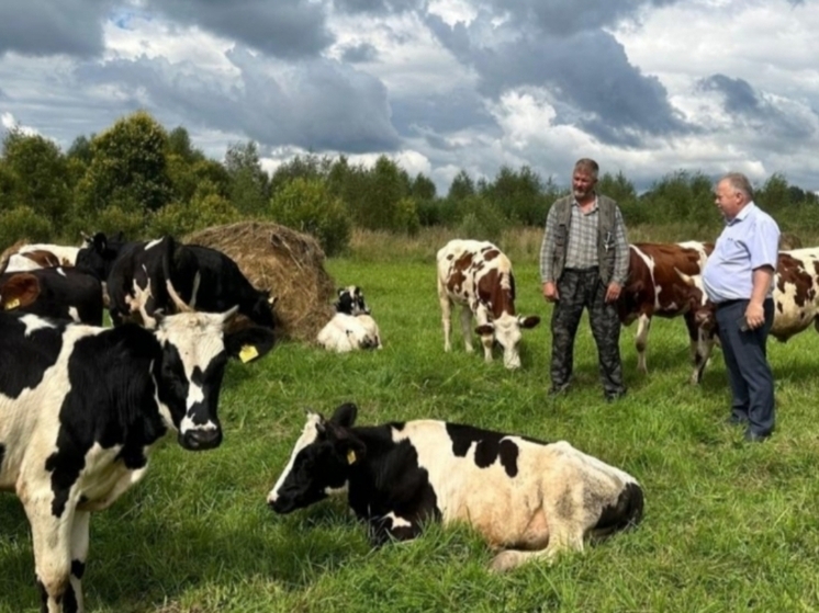Новгородские аграрии выполнили план несмотря на непогоду