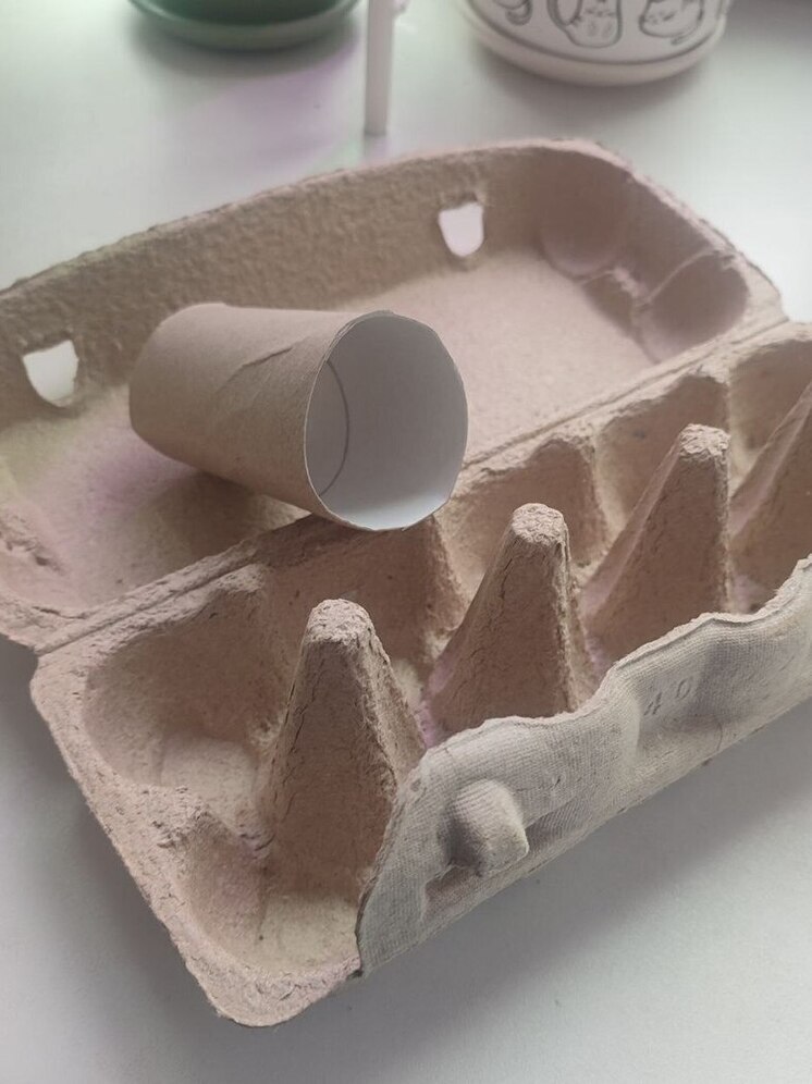 ЭкоДом в Салехарде собирает втулки от туалетной бумаги и лотки для яиц