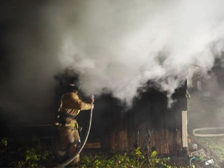 Ленинградские спасатели за сутки отреагировали на 14 оперативных событий