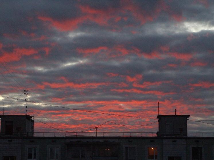 Под Воронежем от обломков беспилотника получило повреждения административное здание