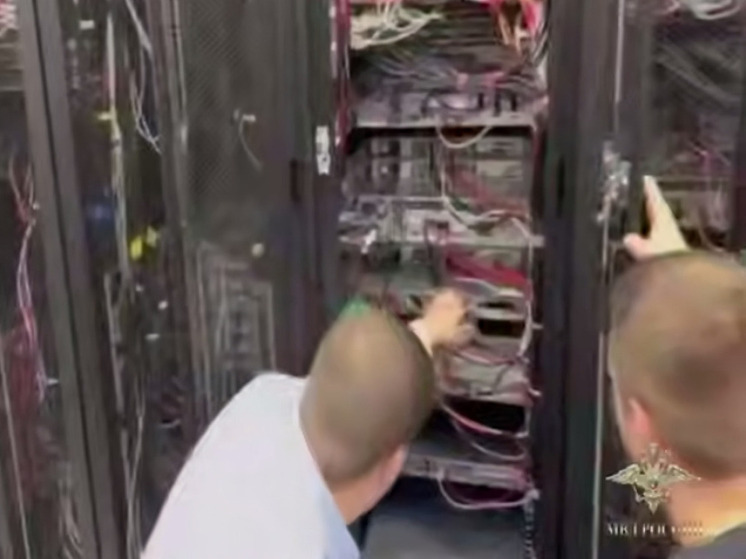 Создателя крупного Telegram-бота уличили в распространении персональных данных россиян