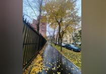 Впереди — три выходных