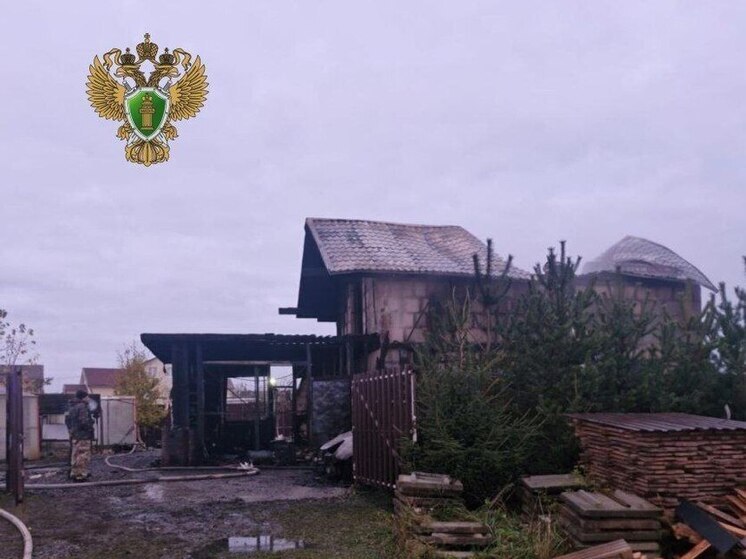 В Ленинградской области на пожаре погибли мужчина и двое детей, 9 и 13 лет