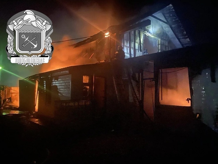 Прокуратура начала проверку по факту пожара в деревне Гостилицы