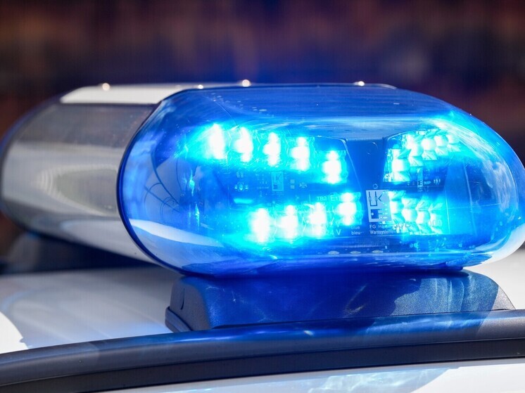 Пропавшая 13-летняя девочка из американского штата Луизиана, спасена из ящика в подвале Пенсильвании