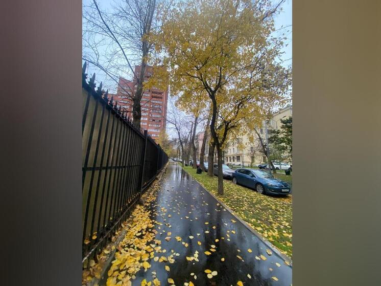 Синоптик Леус назвал регион, где стоит ожидать на праздники вполне майскую погоду