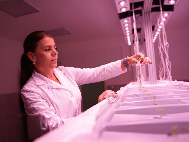 Новую систему поддержки аграриев запускают в Приангарье