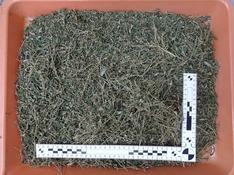 Пассажира с марихуаной задержали на вокзале Читы