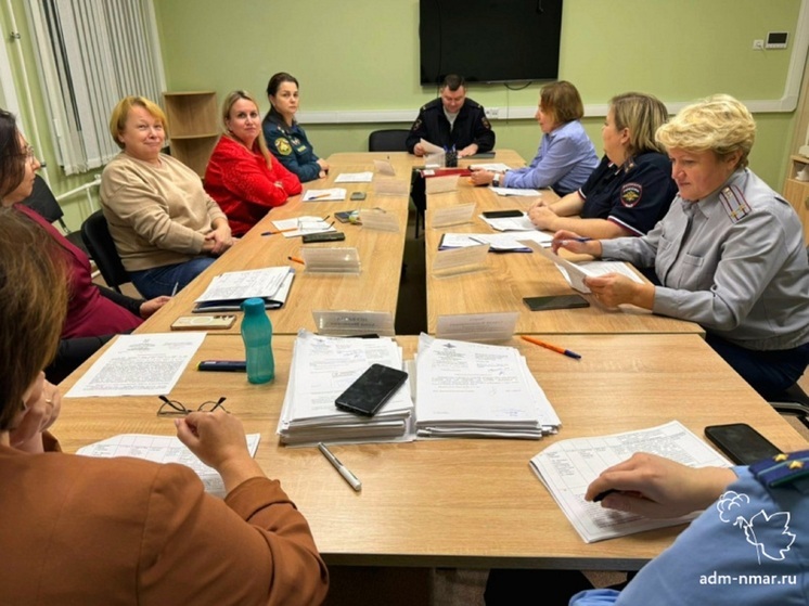 Безопасность на дорогах НАО обсудили на заседании КДН и ЗП